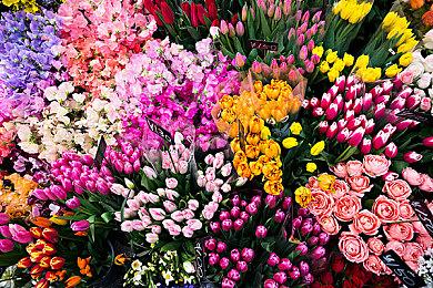 调音游戏《Fuser》下周将在任天堂Switch上免费